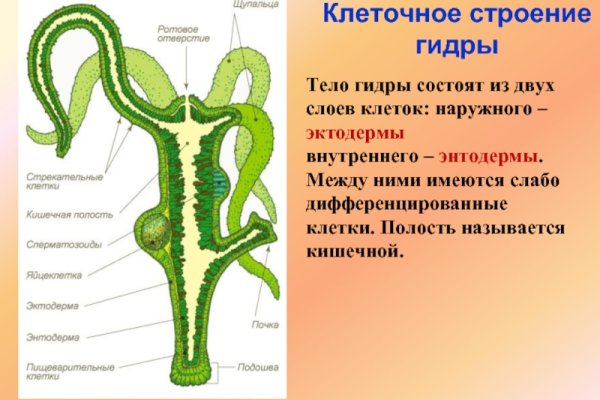 Кракен даркмаркет плейс официальный сайт