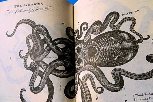 Kraken зеркало krakens13 at